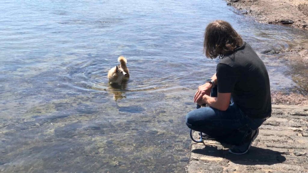 Hund - Rocco geht mit Michael baden