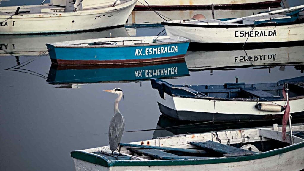Leben wo andere Urlaub machen - Lanzarote unser neues Zuhause